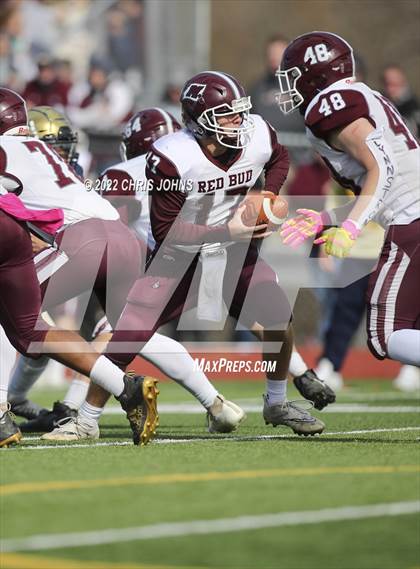 Thumbnail 1 in Red Bud @ Althoff Catholic (IHSA 2A Second Round Playoffs) photogallery.