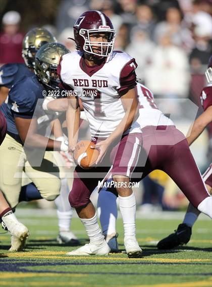 Thumbnail 2 in Red Bud @ Althoff Catholic (IHSA 2A Second Round Playoffs) photogallery.