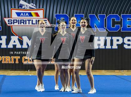 Thumbnail 2 in Lee Williams - Stunt (AIA Division III Final) photogallery.