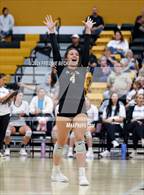 Photo from the gallery "Vernon @ Henrietta"