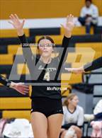 Photo from the gallery "Vernon @ Henrietta"