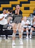 Photo from the gallery "Vernon @ Henrietta"