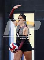 Photo from the gallery "Vernon @ Henrietta"
