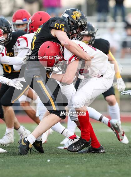 Thumbnail 2 in Fairport @ McQuaid Jesuit photogallery.