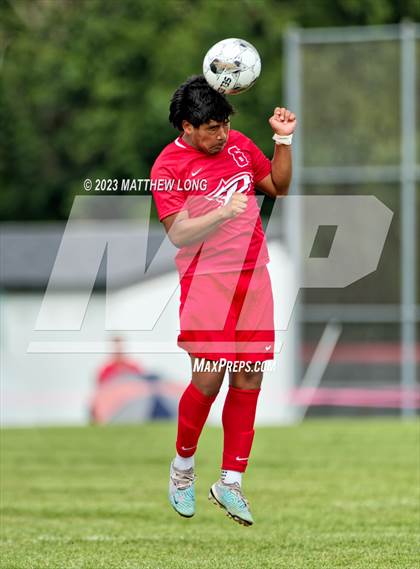 Thumbnail 1 in Pike vs Downers Grove South photogallery.