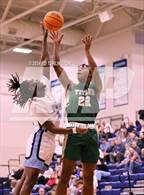 Photo from the gallery "Blessed Trinity @ Pope"