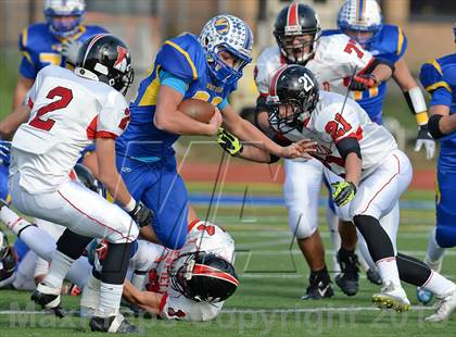 Thumbnail 1 in Newfield @ West Islip photogallery.