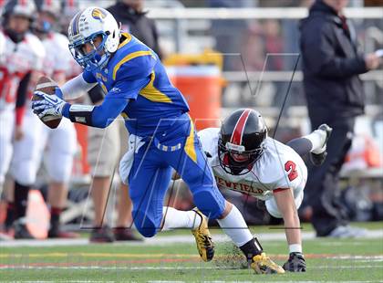 Thumbnail 3 in Newfield @ West Islip photogallery.