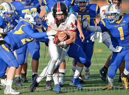 Thumbnail 1 in Newfield @ West Islip photogallery.
