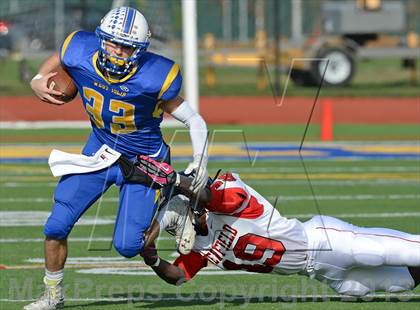 Thumbnail 1 in Newfield @ West Islip photogallery.