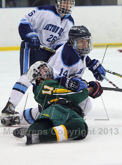 Thumbnail 2 in Red Bank Catholic @ Seton Hall Prep photogallery.