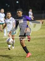 Photo from the gallery "Pinecrest @ Jack Britt"