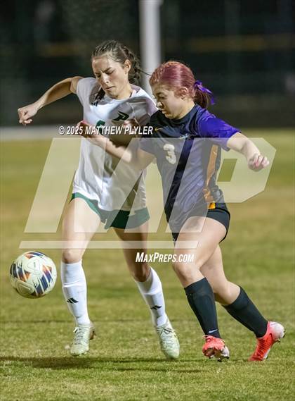 Thumbnail 3 in Pinecrest @ Jack Britt photogallery.