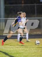 Photo from the gallery "Pinecrest @ Jack Britt"