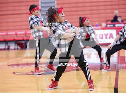 Thumbnail 1 in Sharyland @ La Joya photogallery.