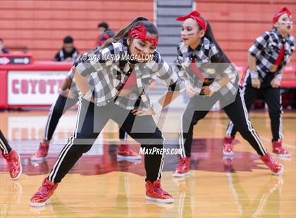 Thumbnail 1 in Sharyland @ La Joya photogallery.