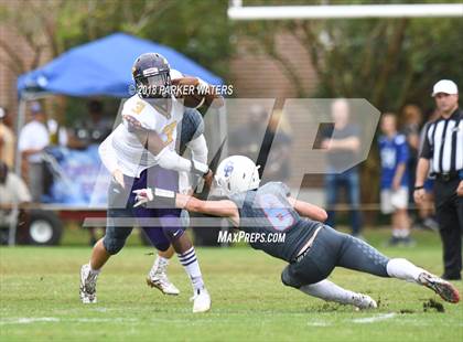 Thumbnail 3 in Amite @ Metairie Park Country Day photogallery.
