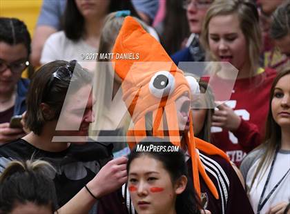 Thumbnail 2 in Alamosa vs. Faith Christian (CHSAA 3A Great 8) photogallery.