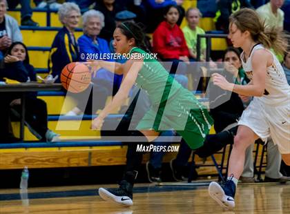 Thumbnail 1 in Pearsall vs Poth photogallery.