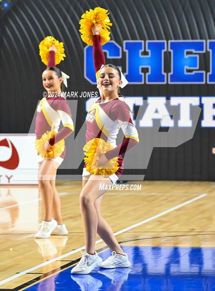 Thumbnail 1 in Nogales - Dance Game Day Championships (AIA Division I) photogallery.