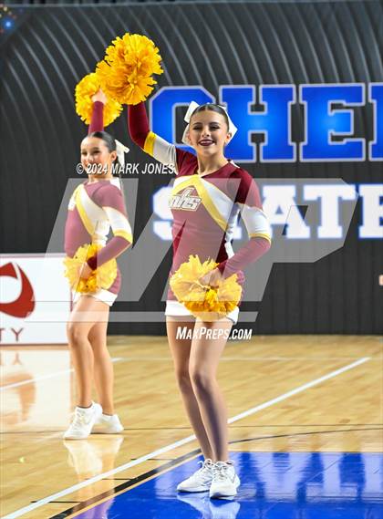 Thumbnail 2 in Nogales - Dance Game Day Championships (AIA Division I) photogallery.