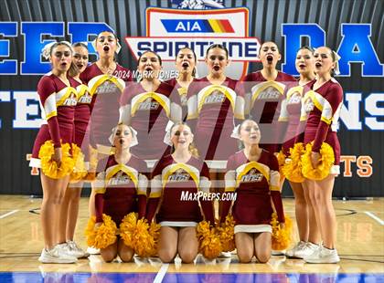 Thumbnail 2 in Nogales - Dance Game Day Championships (AIA Division I) photogallery.