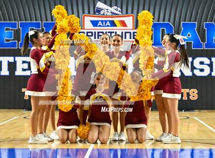Thumbnail 3 in Nogales - Dance Game Day Championships (AIA Division I) photogallery.