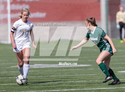 Thumbnail 1 in Lincoln Southwest @ Lincoln Southeast (Heartland Athletic Conference Tournament) photogallery.