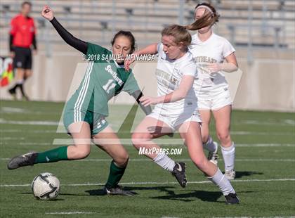 Thumbnail 3 in Lincoln Southwest @ Lincoln Southeast (Heartland Athletic Conference Tournament) photogallery.