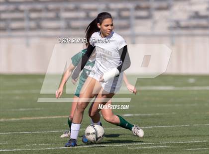 Thumbnail 3 in Lincoln Southwest @ Lincoln Southeast (Heartland Athletic Conference Tournament) photogallery.