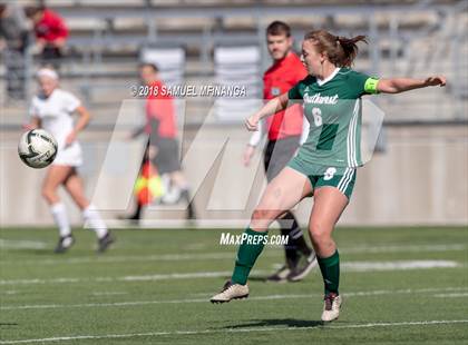 Thumbnail 1 in Lincoln Southwest @ Lincoln Southeast (Heartland Athletic Conference Tournament) photogallery.