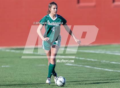 Thumbnail 3 in Lincoln Southwest @ Lincoln Southeast (Heartland Athletic Conference Tournament) photogallery.