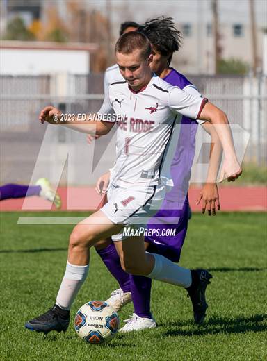 null - Photo 41
