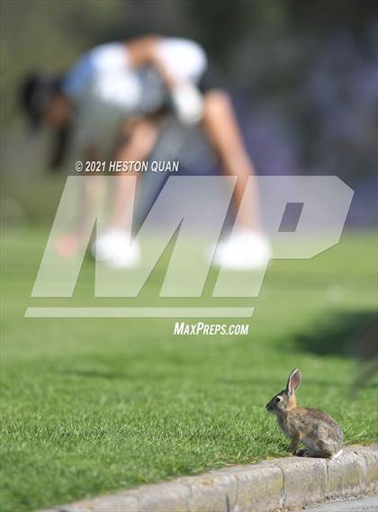 Thumbnail 2 in CIF-SS Girls D1 Team Golf Finals 2/2 photogallery.