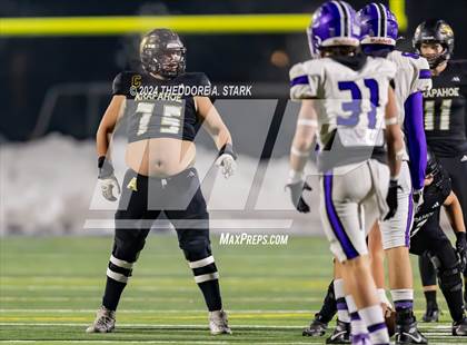 Thumbnail 1 in Douglas County vs. Arapahoe (CHSAA 5A 1st Round) photogallery.