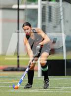 Photo from the gallery "Wilton @ Stamford"