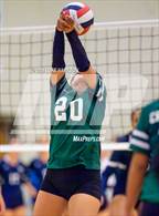 Photo from the gallery "Cross Keys @ Mount Vernon"