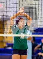 Photo from the gallery "Cross Keys @ Mount Vernon"