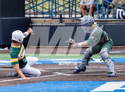 Thumbnail 1 in Falcon vs. Pueblo County (CHSAA 4A Semifinal) photogallery.