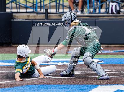 Thumbnail 3 in Falcon vs. Pueblo County (CHSAA 4A Semifinal) photogallery.