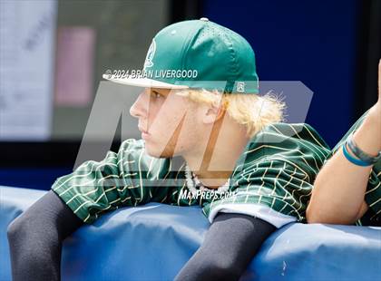 Thumbnail 3 in Falcon vs. Pueblo County (CHSAA 4A Semifinal) photogallery.