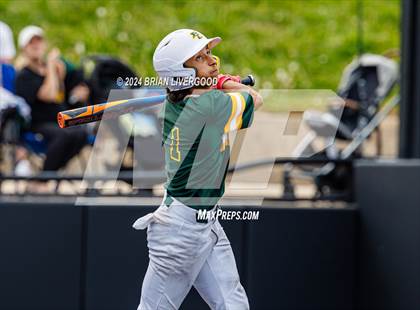 Thumbnail 1 in Falcon vs. Pueblo County (CHSAA 4A Semifinal) photogallery.