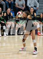 Photo from the gallery "Legend @ Mountain Vista"