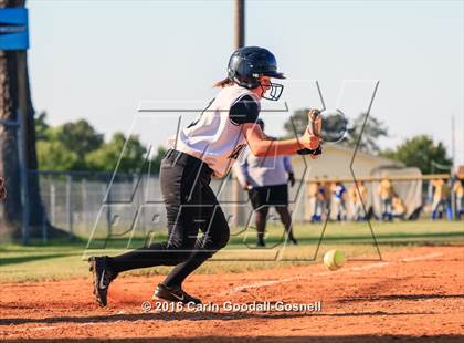 Thumbnail 2 in Richlands @ Havelock photogallery.