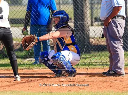Thumbnail 2 in Richlands @ Havelock photogallery.
