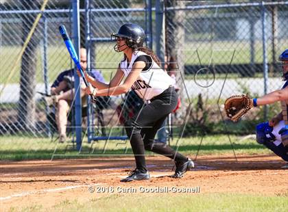 Thumbnail 3 in Richlands @ Havelock photogallery.