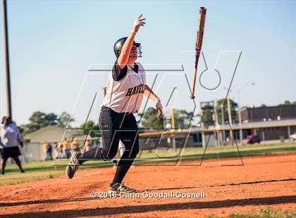 Thumbnail 2 in Richlands @ Havelock photogallery.