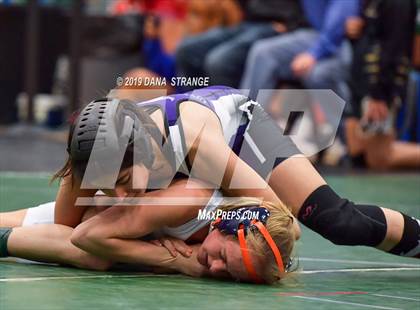 Thumbnail 1 in Knights Invitational photogallery.