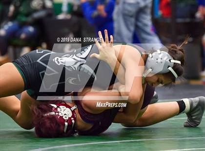 Thumbnail 1 in Knights Invitational photogallery.