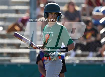 Thumbnail 2 in JV: Hillcrest @ Poly photogallery.